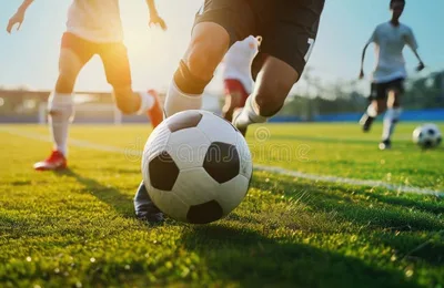 德甲竞猜 - 易游体育